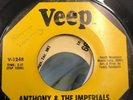 1960s R&b Northern Soul Anthony & The Imperials It’s Not The Same Veep