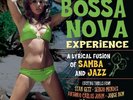 BOSSA NOVA EXPERIENCE   VINYL LP NEU