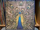 THE BLUETONES - EXPECTING TO FLY 12
