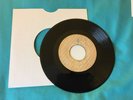 Conquerors National Dish Mr. DJ Skinhead Reggae Ska Rocksteady 7” Records Blank