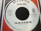 The Blue Things - You Can Live In Our Tree 45 Garage Psych RCA 1966