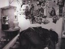 J. Roddy & The Business Walston - J. Roddy Walston & The (Vinyl Used Very Good)