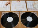 Celine Dion - Falling into You - 2 x LP Vinyl 1996 Original Pressing Columbia NM
