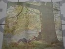 John Lennon Plastic Ono Band PCS7124 1st Press 1U 1U Record LP VG+ Play Tested