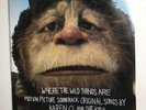 WHERE THE WILD THINGS ARE SOUDTRACK * PINK VINYL * FREE P&P UK  B002M2N9MUWILD