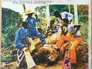 YAMOAH'S BAND CRAZY DEEP DANCEFLOOR HIGHLIFE GHANA Listen