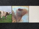 Pink Floyd Vinyl Set - Atom Heart Mother; Meddle; The Wall