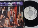 Moby Grape 45 picture sleeve promo Hey Grandma Garage Psych Blues record clean