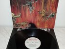 LP SLAYER - HELL AWAITS - HOLLAND - RR 9795 - 1ST
