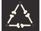 Peter, Bjorn And John - Darker Days (NEW 12