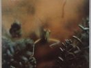 STEELY DAN: Katy Lied USA ABC Jazz Rock Vinyl LP NM Wax