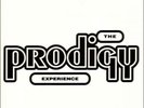 Prodigy, The: Experience, LP (analog)