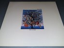 Tolles TALK TALK 12” Vinyl Album -Spirit Of Eden- Parlophone ?064 7 46977 1 DMM