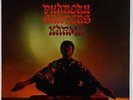 Pharoah Sanders - Karma LP - ABC-Impulse VG+