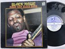 BLACK MAGIC Sam Blues Band (1969 ORIGINAL) Pressing Delmark DS620 Lp Chicago