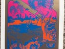 Jimi Hendrix Experience, Pink Floyd CIA UFO Hapshash Vintage 70s Poster 15x10 39