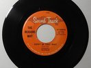 THE REASONS WHY Don't Be That Way /Melinda 45 Sound Track RARE TEXAS GARAGE 1966
