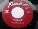 RARE OHIO SOUL 45-The Impossibles Finch