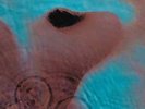 Pink Floyd: Meddle (180GV: Remastered) LP