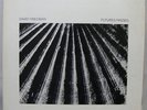David Friedman - Futures Passed - ENJA 2068