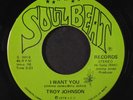 TROY JOHNSON: I Want You / This Ain't The Way 45 Hear  (plays strong, wol, stun