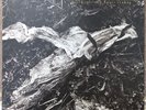 David Sylvian - Czukay - Plight & Premonition - Vinyl LP - 1988 - Used