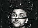 Weeknd - Beauty Behind The Madness 602547503367 (Vinyl Used)