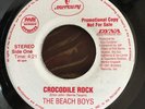 The Beach Boys Brian Wilson 