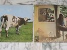 PINK FLOYD - ATOM HEART MOTHER + UMMAGUMMA - 2 ALBUMS VINYLE 33T (LP)