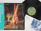 LP Echo And The Bunnymen Crocodiles P10964J KOROVA Japan Vinyl OBI