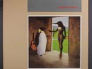 PENGUIN CAFE ORCHESTRA: Penguin Cafe Orchestra LP (saw mark, corner ding, sm fa