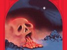 DAMAGED BUG Cold Hot Plums LP ty segall fuzz Oh Sees coachwhips blind shake PUNK