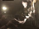 Matthew Dear ‎– Black City SEALED Ghostly International ‎GI-120lp COLOR VINYL LP