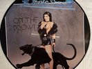 Crying Steel ?- On The Prowl PICTURE DISC / Vinyl / Italien 1987