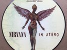 Nirvana In Utero 10th Anniversary Edition 180g Picture Disc Vinyl LP