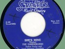 DANDERLIERS She's Mine / My Love 45rpm States 1956 original Chicago doo-wop