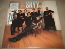 SKYY Start Of A Romance RARE MINTY FACTORY SEALED NEW Vinyl LP 1989 HoleCut Sky