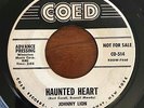 Halloween Rockabilly 45 Johnny Lion - Haunted Heart HEAR  Coed