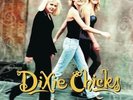 DIXIE CHICKS - WIDE OPEN SPACES (GATE) NEW VINYL