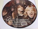Slayer Reign In Blood - Demos 2013  Vinyl Picture Disc Rock