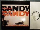Indie LP THE JESUS AND MARY CHAIN Psychocandy BLANCO Y NEGRO (Germany, 1985)