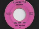 Rare Surf 45 - Del Ashley (David Gates) 