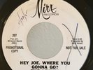 Rare Garage PROMO 45 The Leaves Hey Joe,Where You Gonna Go? on Mira HEAR VG++