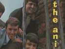The Animals - S/T first album 1964 UK Columbia Mono LP. Ex