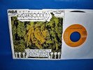 JEFFERSON AIRPLANE   MEXICO 45 w/ RARE PICTURE SLEEVE   1970 RCA STEREO   EX+