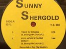 SUNNY SHERGOLD,CANADA ORIGINAL PRIVATE PRESS PSYCH FOLK M- RARE INSERT