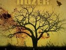 DOZER - beyond colossal