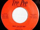 HEAR IT 60's Wisconsin Psychedelic Garage 45 rpm The Syndicate