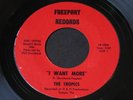 Tropics   I Want More / Goodbye My Love   Freeport   fuzz / garage 45 HEAR