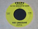 Lincolns   In the Back of My Mind / Summer Winds   Tripp   garage psych 45 HEAR